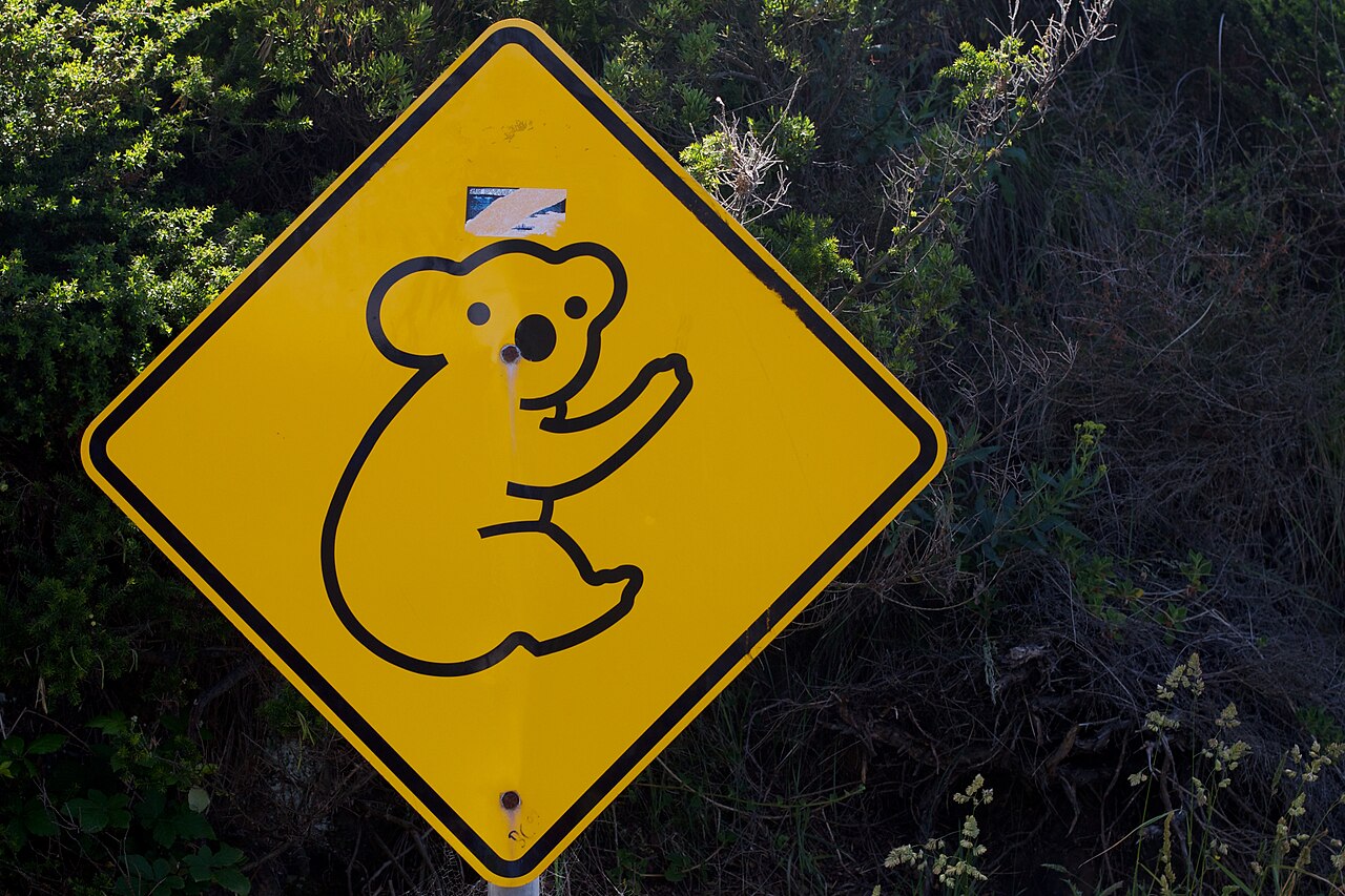 image from Animal Crossing? More Like Animal Eviction